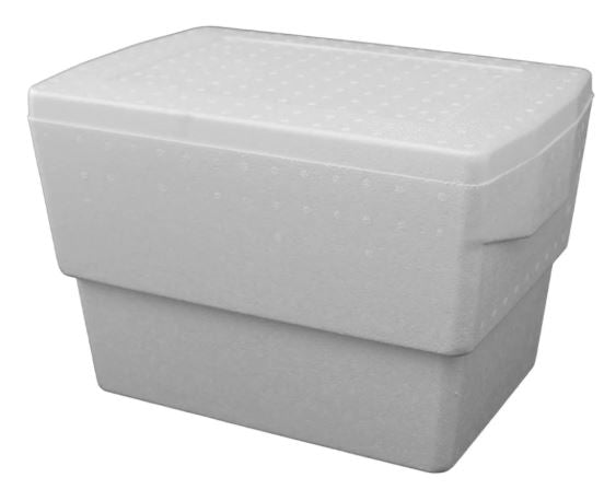 COOLER FOAM 21L