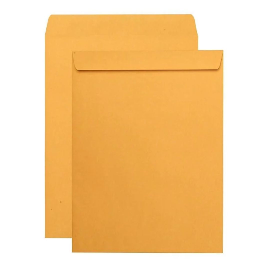 SOBRES DE PAPEL MANILA 9X12 1UN