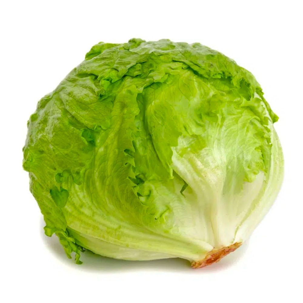 LECHUGA ICEBERG NACIONAL 1.5 LB