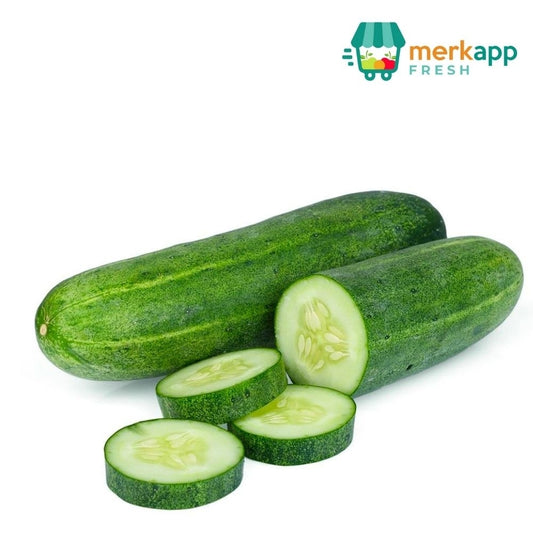 PEPINO 1 LB (2-3 UND APROX)