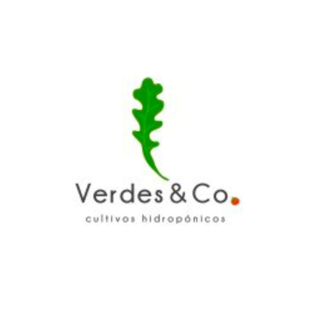 LECHUGA MANTEQUILLA VERDE HIDROPONICA200 GR