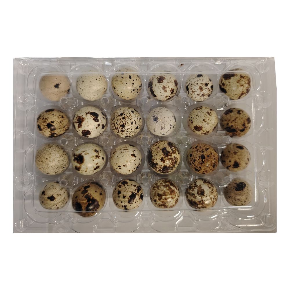 HUEVOS DE CODORNIZ MERKAPP FRESH 24 UND