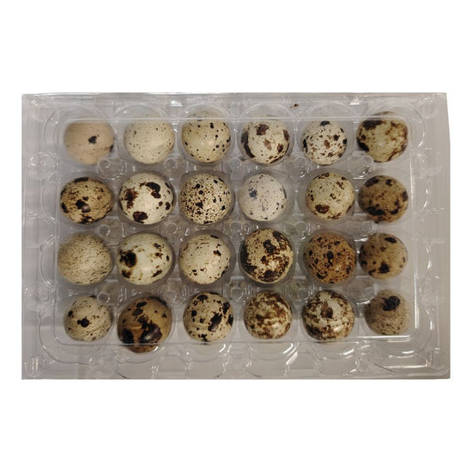 HUEVOS DE CODORNIZ MERKAPP FRESH 24 UND