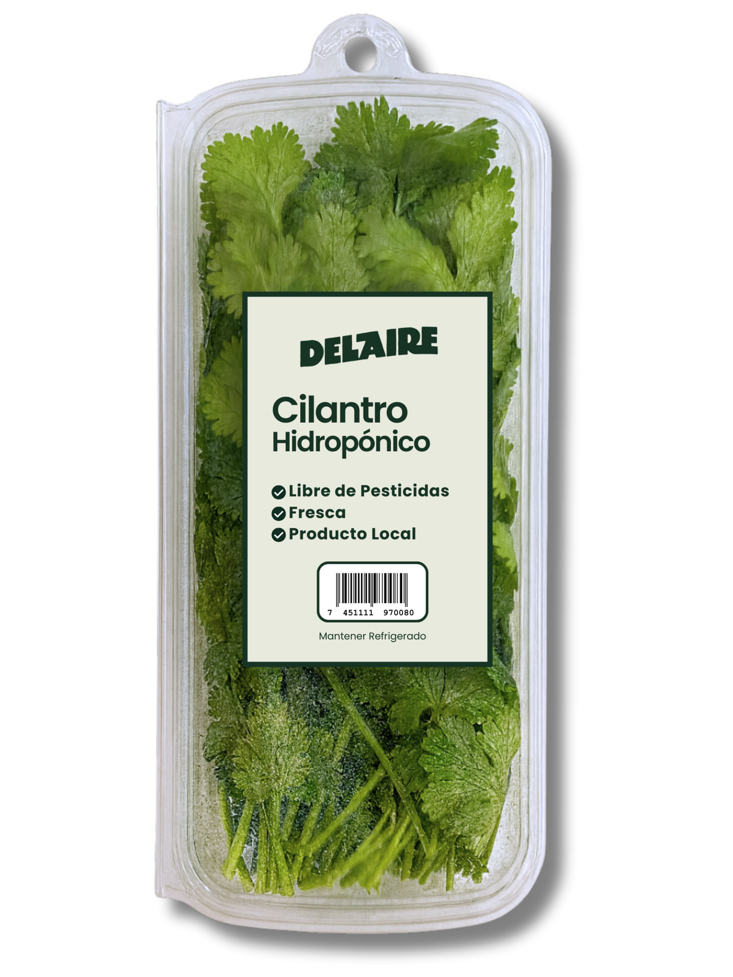 DEL AIRE CILANTRO HIDROPONICO 25 GRAMO