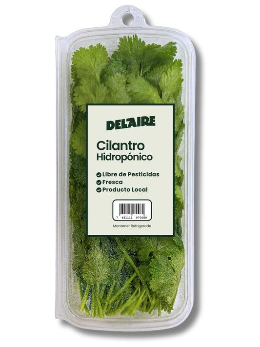 DEL AIRE CILANTRO HIDROPONICO 25 GRAMO