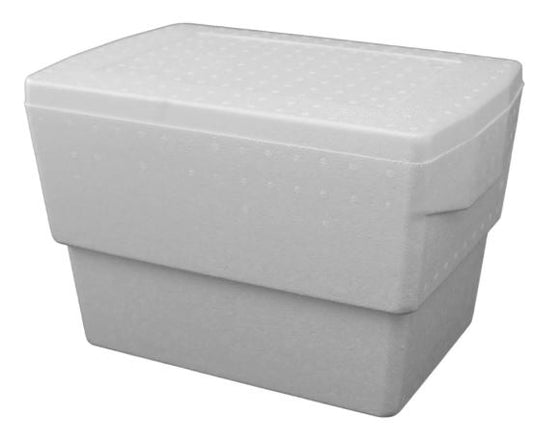 COOLER FOAM 21L
