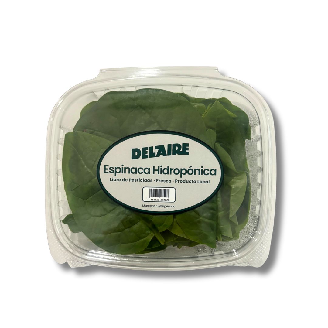 DEL AIRE ESPINACA HIDROPONICA 70 GRAMOS