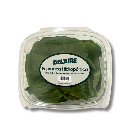 DEL AIRE ESPINACA HIDROPONICA 70 GRAMOS