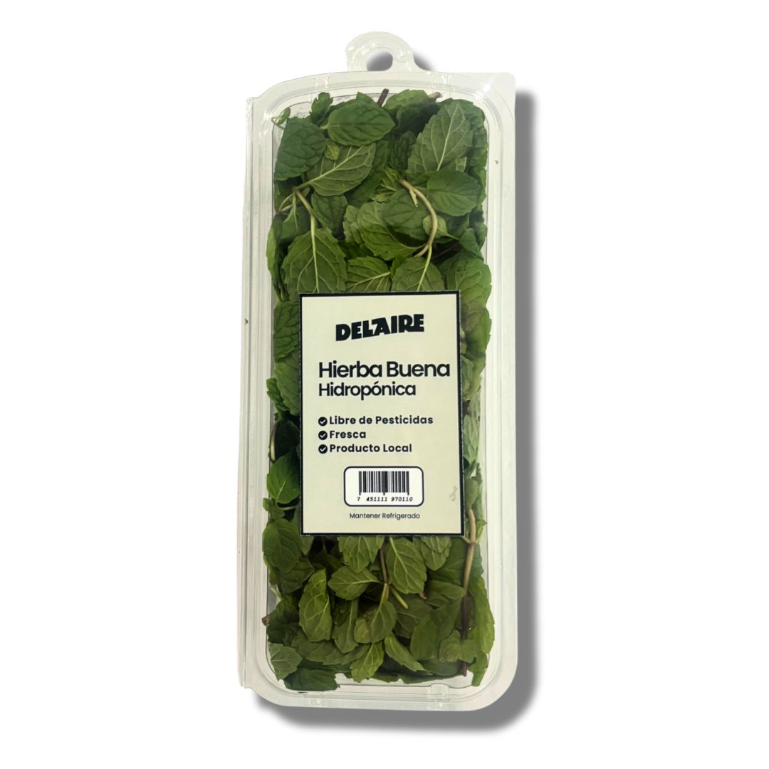DEL AIRE HIERBA BUENA HIDROPONICA 25 GRAMOS