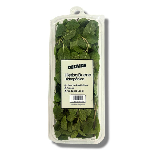 DEL AIRE HIERBA BUENA HIDROPONICA 25 GRAMOS