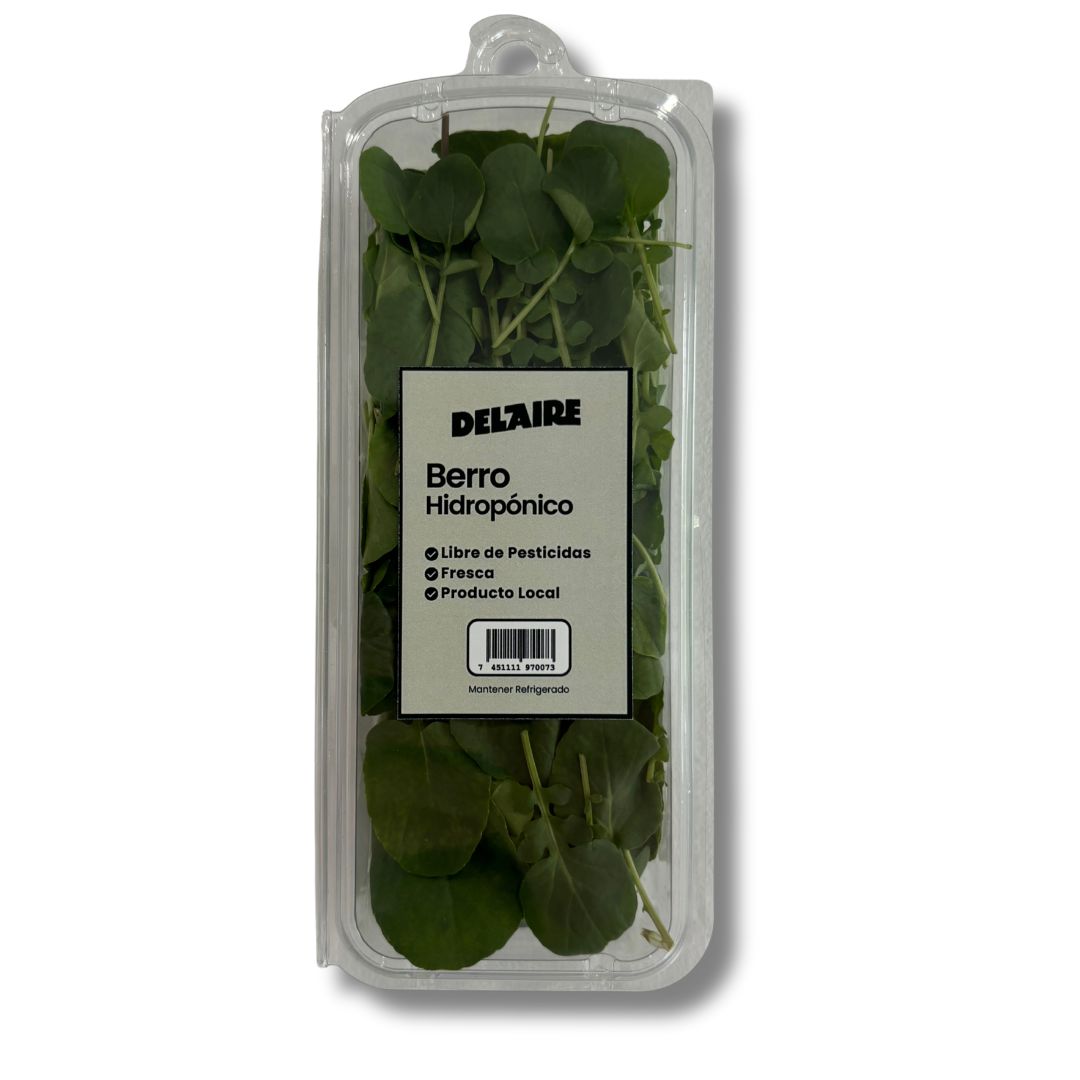 DEL AIRE BERRO HIDROPONICO 25 GRAMO