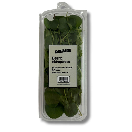 DEL AIRE BERRO HIDROPONICO 25 GRAMO