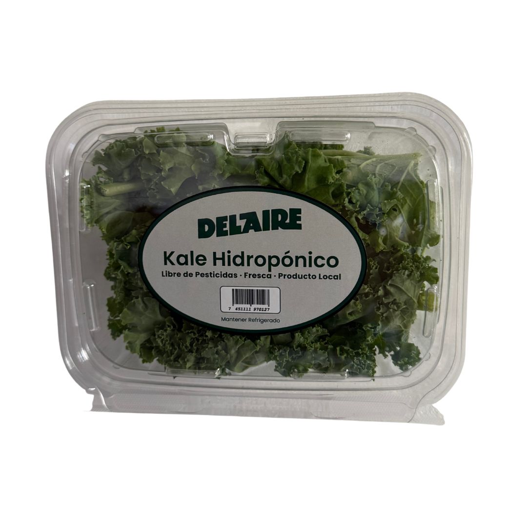 DEL AIRE KALE HIDROPONICO 70 GRAMO
