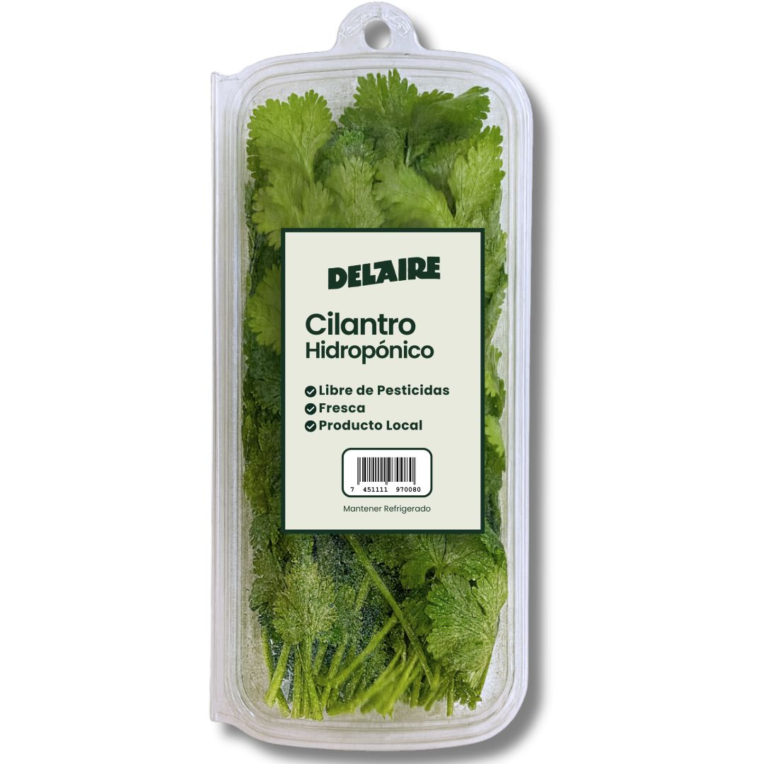 DEL AIRE CILANTRO HIDROPONICO 25 GRAMO