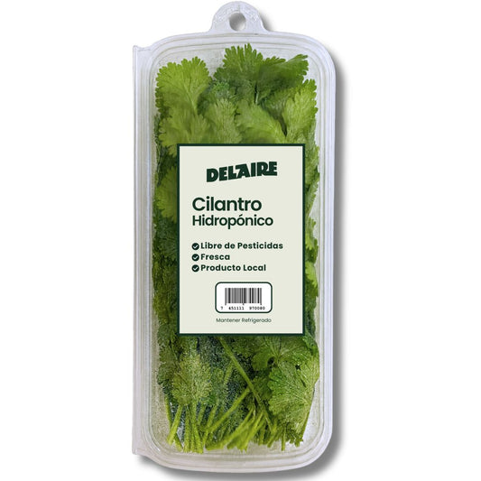 DEL AIRE CILANTRO HIDROPONICO 25 GRAMO