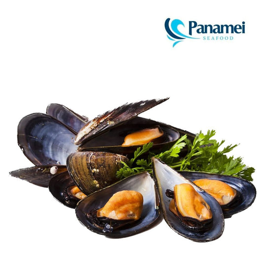 MEJILLON NEGRO ENTERO PANAMEI 1 LB