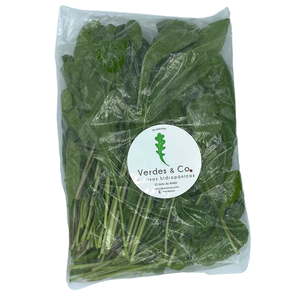 ARUGULA HIDROPONICA 100 GR