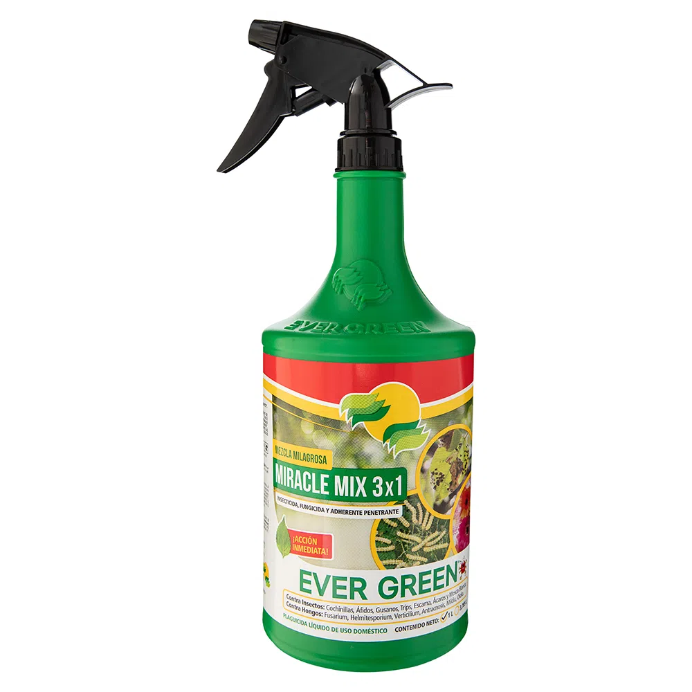 PLAGUICIDA LÍQUIDO CONTRA INSECTOS Y HONGOS EVER GREEN 1 LT