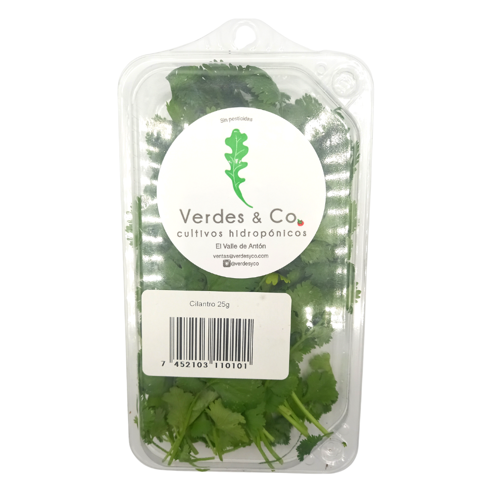 CILANTRO HIDROPONICO 25 GR