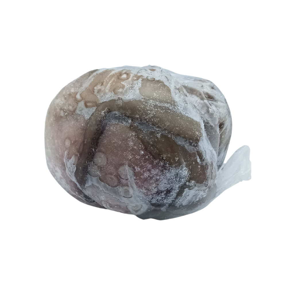 PULPO WILD CAUGTH 1-2 LB